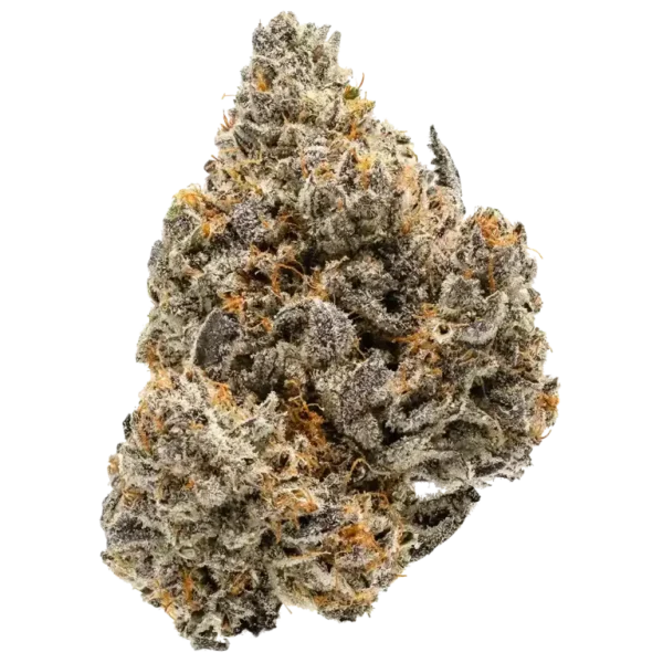 Holistic-Hybrid-600x600-1.webp
